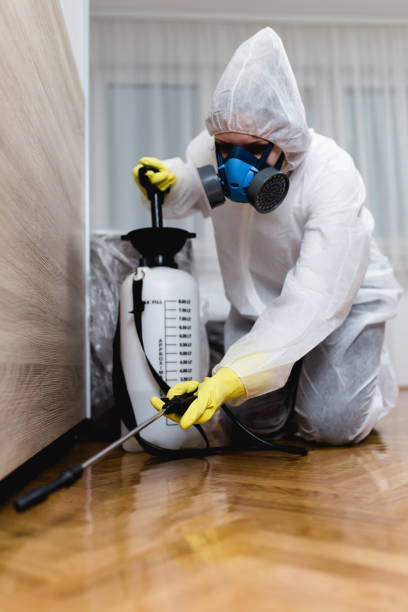 Best Pest Exclusion Services  in Lacoste, TX